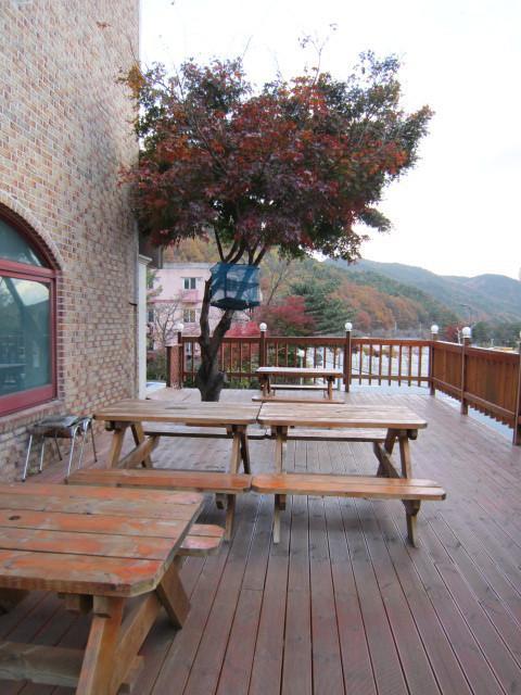Songwol Park Motel Sokcho Dış mekan fotoğraf